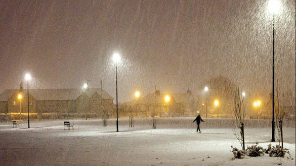 Person walking in a park beneath lit street lights as snow is falling